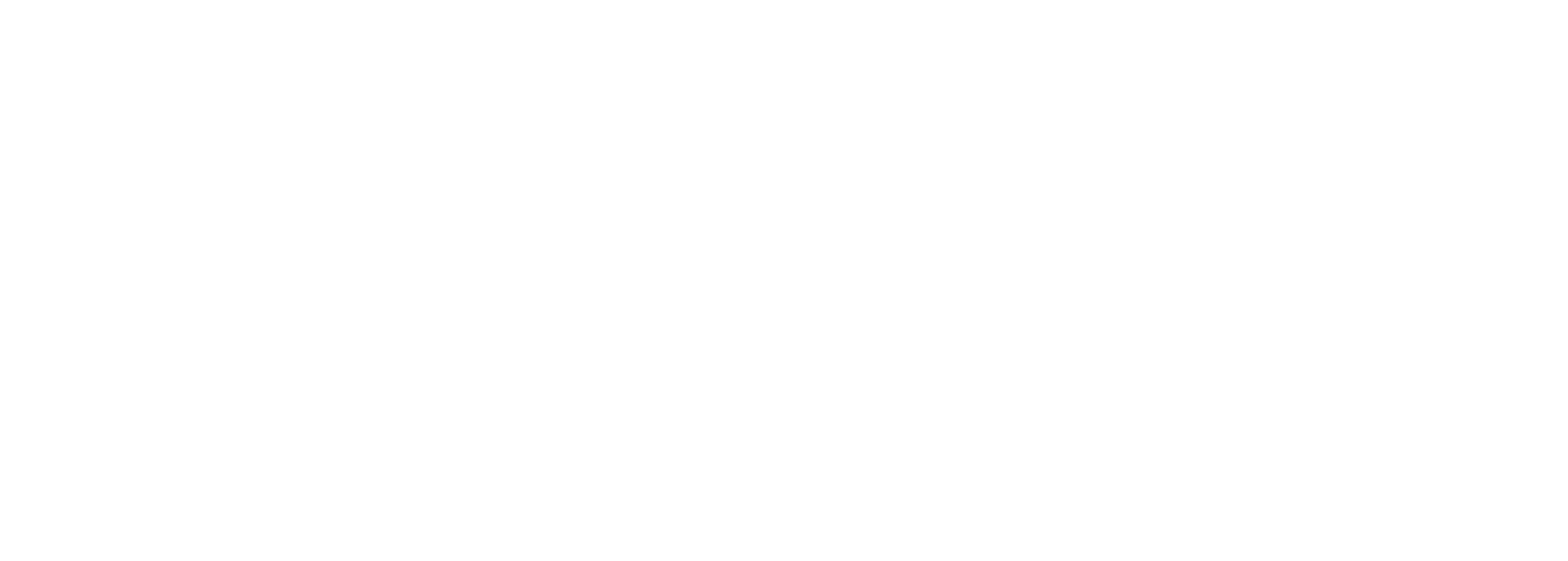 Stuc-O-Flex International