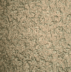 Close-up of a rough, textured surface with an irregular, cracked pattern in shades of beige and brown. The pattern resembles dried mud or plaster.