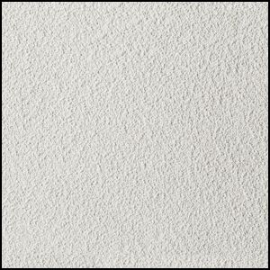 Close-up view of a white textured surface, possibly a rough plastered wall or ceiling, with a slightly uneven, grainy appearance. The surface is uniformly colored with subtle shadowing highlighting its texture.