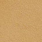 A close-up view of a surface with a sandy beige color and a slightly rough, textured appearance.