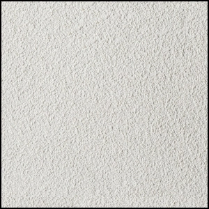 Close-up view of a white textured surface, possibly a rough plastered wall or ceiling, with a slightly uneven, grainy appearance. The surface is uniformly colored with subtle shadowing highlighting its texture.