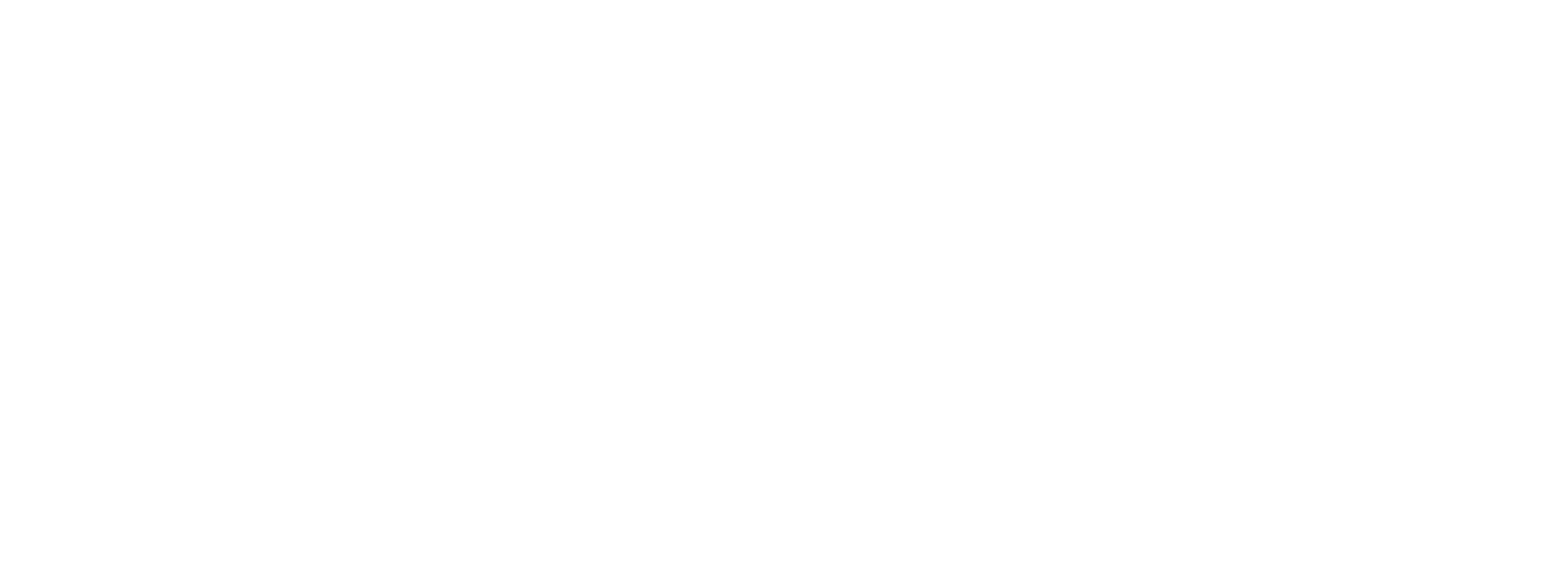 Stuc-O-Flex International