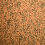 A close-up image of a textured, rust-colored surface with a rough, speckled pattern. The color fades slightly from left to right, giving a gradient effect.