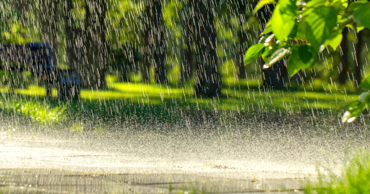 Heavy rain pours onto an asphalt pathway with green grass and several tall, leafy trees in the background.