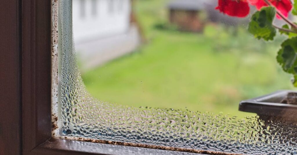 A close up view of water that has started condensing on the molding of a window. Through the window there is a flower.